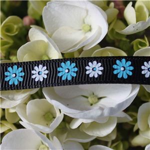 Flower Ribbon - Gerbera Blue/White on Black